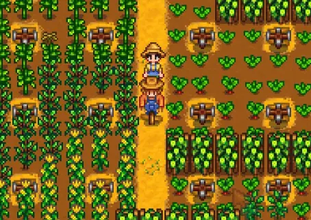 stardew valley