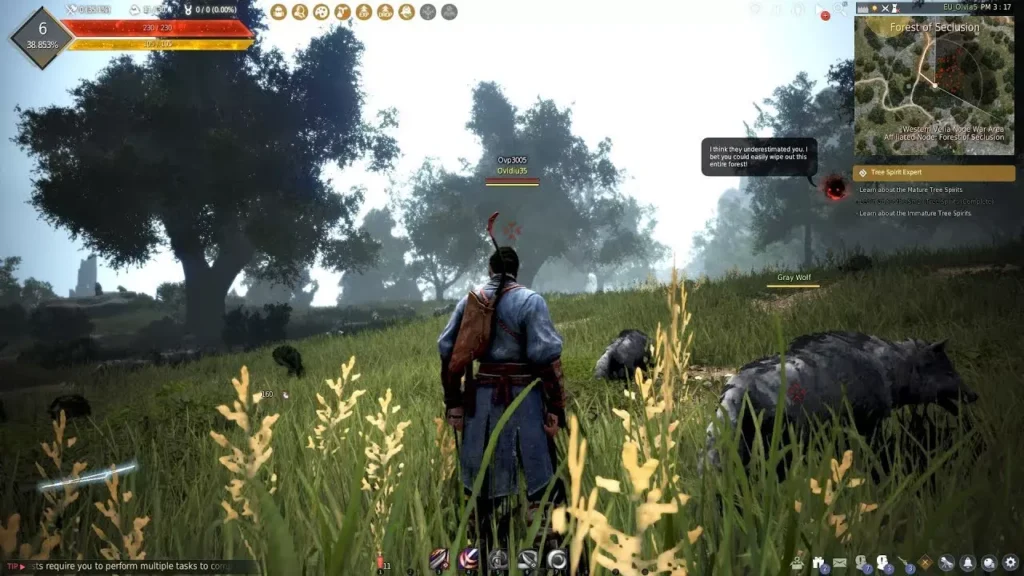 Black Desert